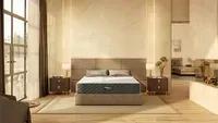 Searching Best Mattress for Back Pain Henrietta NY Deals?